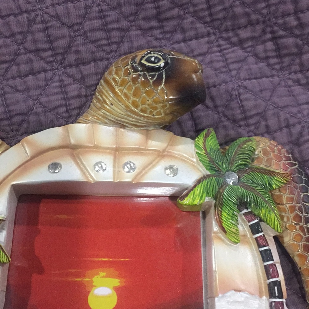 Turtle Frame - Picture 2 of 6